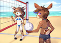 Beach Volleyball Challenge by TobyBaggins