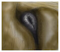 sniff the anus (coloring by malicorne) by darkmare