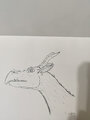 Dragon by caldaq