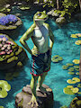 Pond Frog