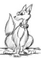 draft of a wolf