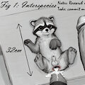 Racoon Number 3: Bernard (link in description) by threeracoons