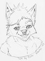 Toshi Headshot by RowanZero