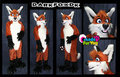 Fursuit! :D by RookDarkfox