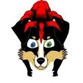 Original Gus Headshot  by GusJustGus1