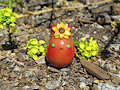 Sunflower Bunnies (SOLD OUT!)