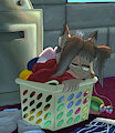 Warm Laundry by Billblok