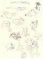 jolteon-sketchbook-misc