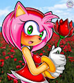 Amy Rose by SirJzau