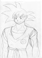 Goku by Otakon