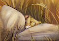 *peeks* by WanderingKitten