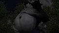 midnight's fat belly by Midnightwerewolf