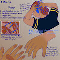 Sonic HRT #7: 4 Months by SonicSpirit