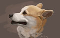 Corgi Practice by chewiemonster