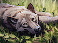 Wolf speedpaint by WerewolfDegenerate