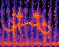 Dancing in the Music