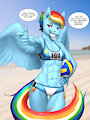 Beach Volleyball Rainbow Dash Mk.II by MykeGreywolf