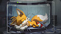 The Life of a VEX Named Tails by StarDreamOSX