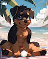 #081 - Tommy's Beach Photography by AIFluffyMatrix