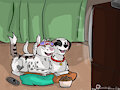 Sleepover with Patch