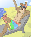 Summer time and the livin' is easy ... by grencapra