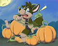Pumpkin Field Adventure by SqueakyTheWolf