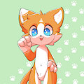 Kitti's references sheet by NeuyiA