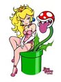 Princess Peach - Let Them Eat Cheesecake by JiveGuru