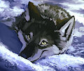 Wolf speedpaint by WerewolfDegenerate