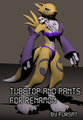 Tubetop and Pants for Renamon by Fursat