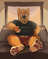Shiba Gay-mer by AniCrossBear