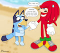 An Echidna for Real Life by NormalPhantasm