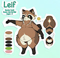 Quick Leif Refsheet by Saucy