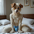 Border Pup Teasing by yisikopato