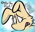 Bungy Brand Diapers by DJPoopypants2