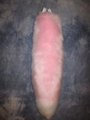 Pink Fox Tail by LascivusLutra