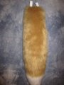 Tan Fox Tail by LascivusLutra