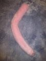 Pink Kitty Tail by LascivusLutra