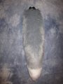 Grey Fox Tail by LascivusLutra
