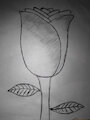 A flower I drawn by Detonato13