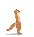 otter8 by Divot1011