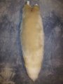 Beige Fox Tail by LascivusLutra