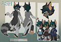 [C] Ash
