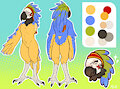 old [C] Macaw
