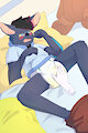 [cm] Feliks