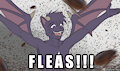 Theo "FLEAS!!" by ZephyrusOrg