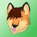 Folf headshot by Yunel
