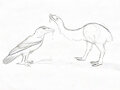 Commissions by theenatiornithebandwagon by Harpagornis