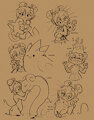 Minette Team by Saucy