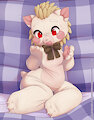 Squishy Paws!?